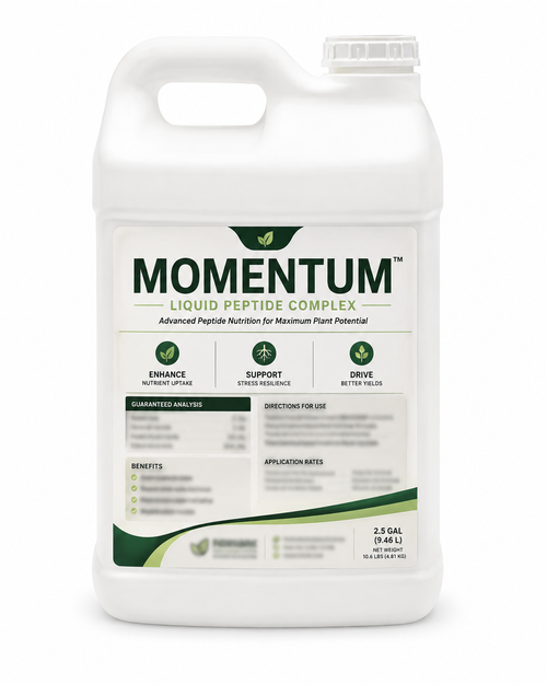 Momentum