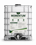 Momentum